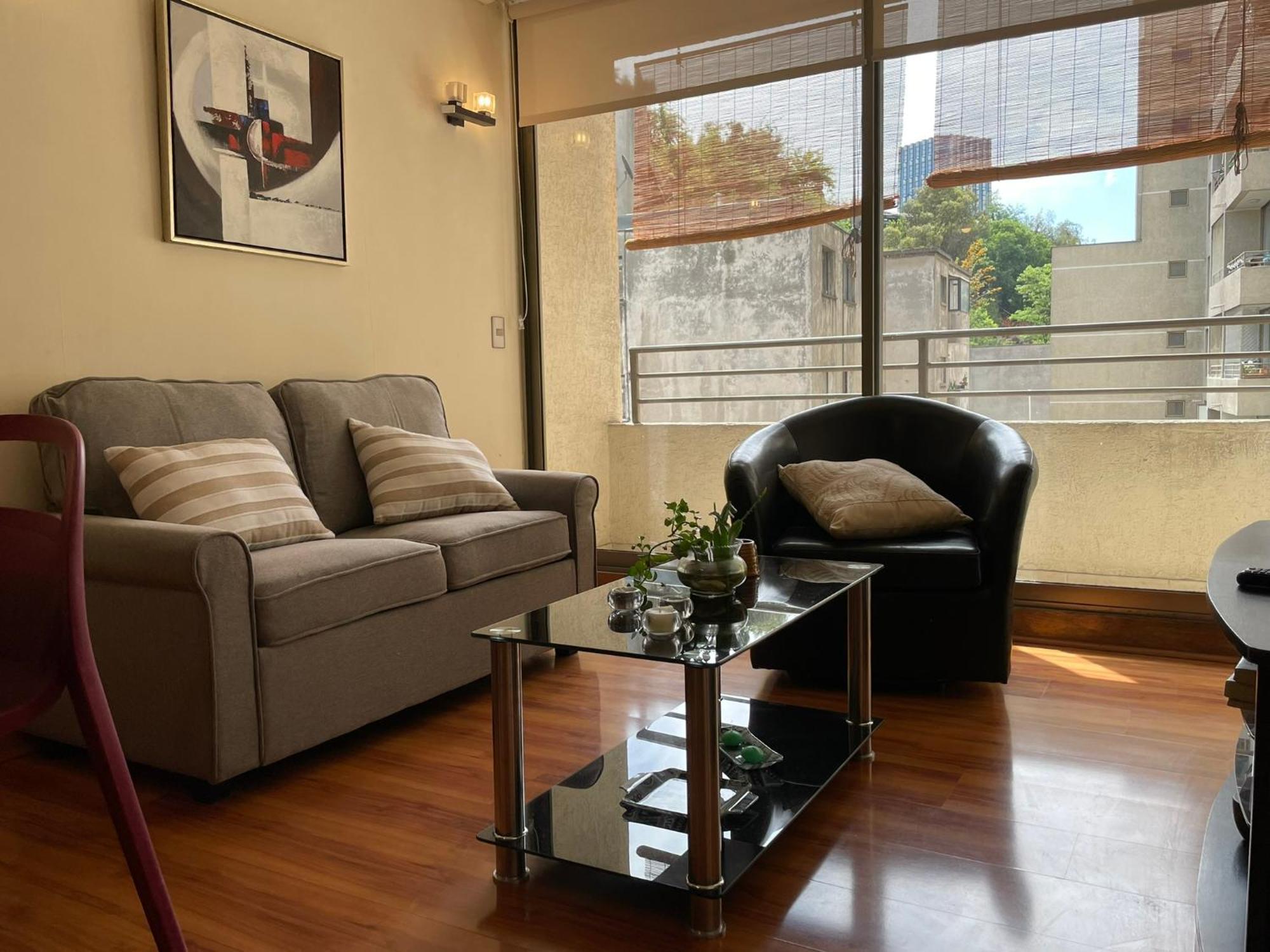 Barrio Lastarria, Excelentes - Sofia Camilla Apartamento *